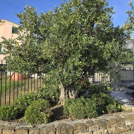 Apartman Casa Diana *